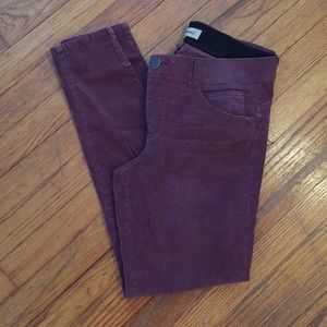 Democracy mauve cords